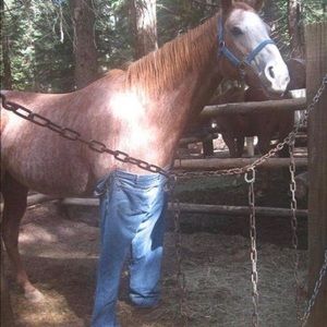 Meet your Posher, Pablo